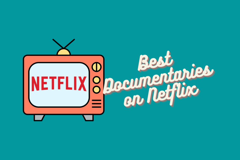 best documentaries netflix
